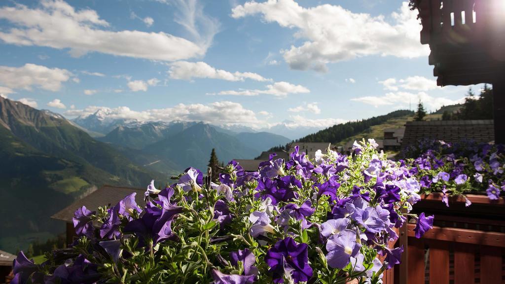Hotel Alpfrieden Bettmeralp Dış mekan fotoğraf