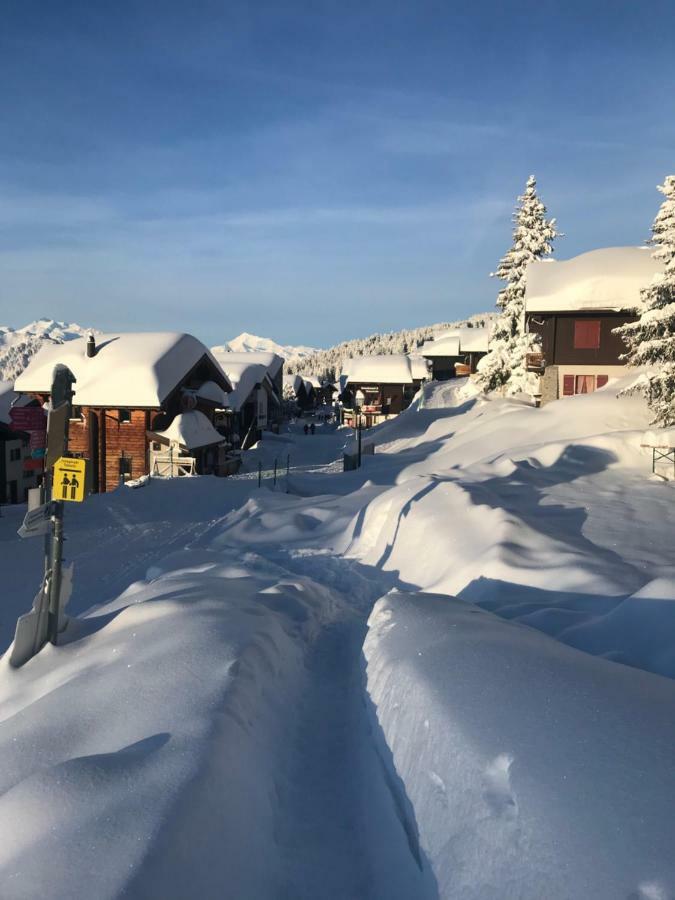 Hotel Alpfrieden Bettmeralp Dış mekan fotoğraf